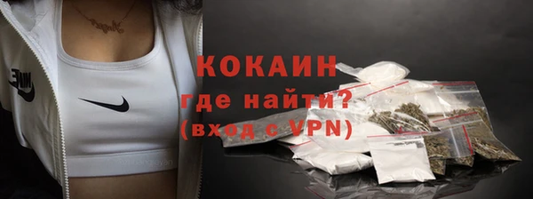 стаф Абаза