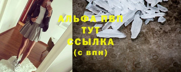 стаф Абаза
