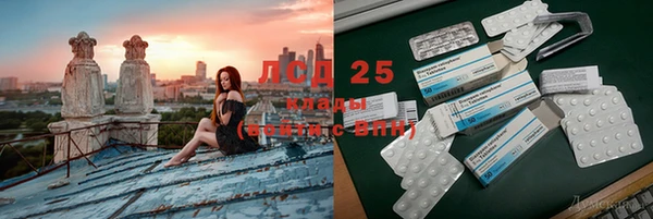 ПСИЛОЦИБИНОВЫЕ ГРИБЫ Алзамай