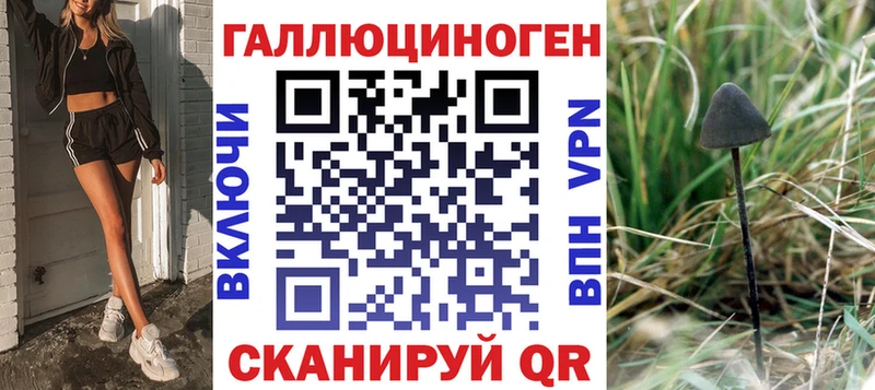 Галлюциногенные грибы Psilocybe  хочу наркоту  Шахты 