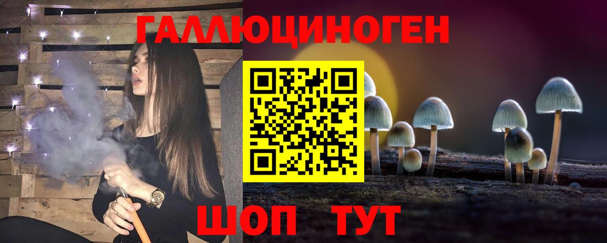 Псилоцибиновые грибы Cubensis  Вход с VPN  Шахты  Галлюциногенные грибы мицелий 